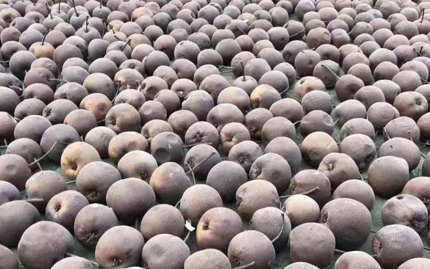 Many frozen pears, China