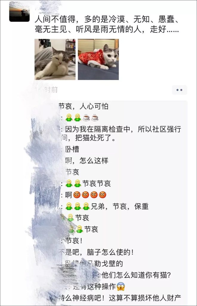 Screenshot of the owner's WeChat