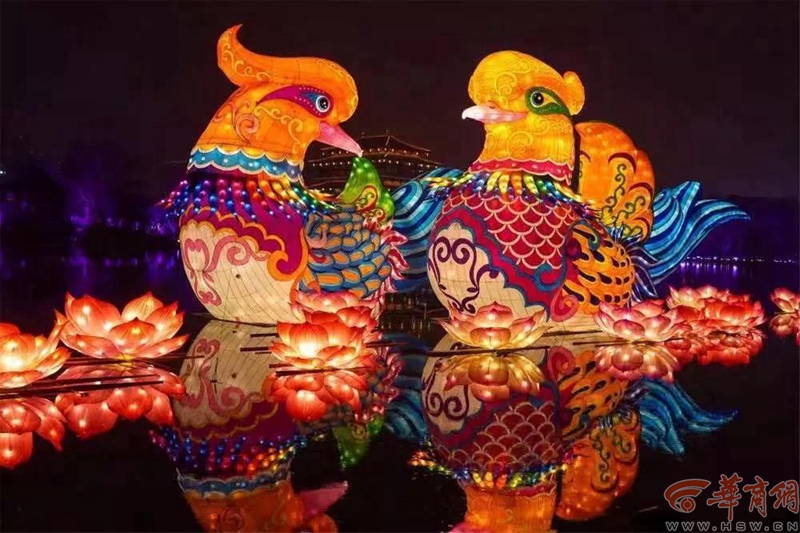 Lantern, Mandarin duck plays lotus