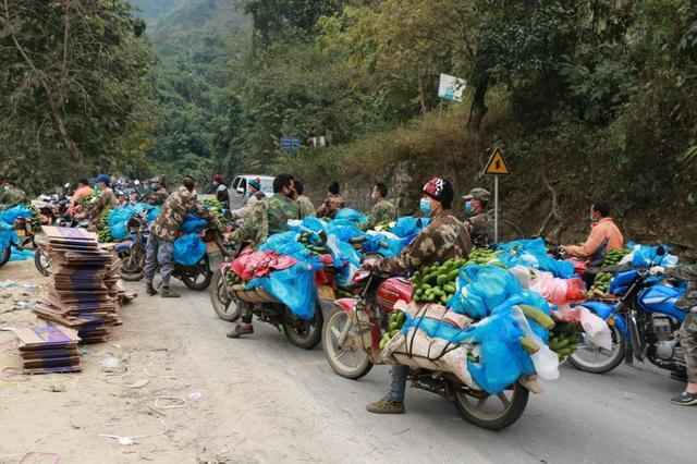Transporting bananas by motorcycle, China