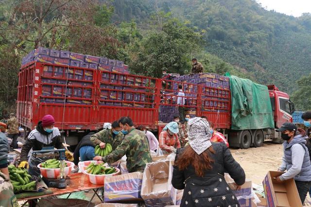 Villagers transporting bananas, China