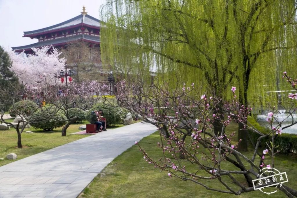 Datang Lotus Garden, Xi'an