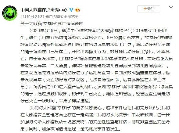 Screenshot of the official Weibo of China Panda Conservation Research Center