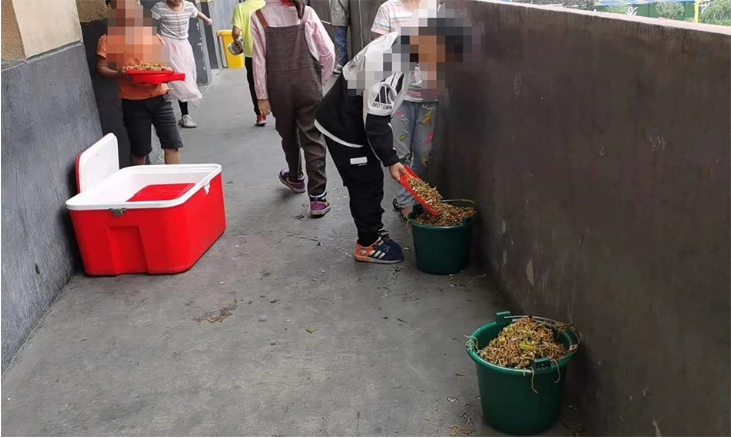 Pupils from a rural elementary school dumped nutritious meals in the trash because of poor taste 