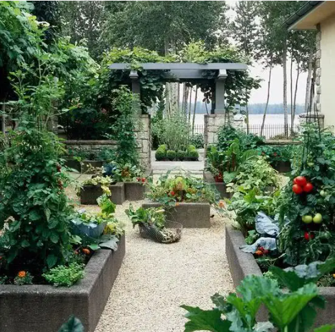 Vegetable garden on the first floor
